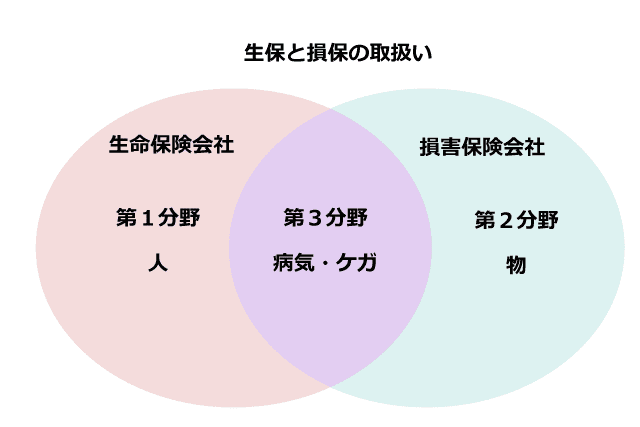 保険用語集　生保と損保の取り扱い　第３分野